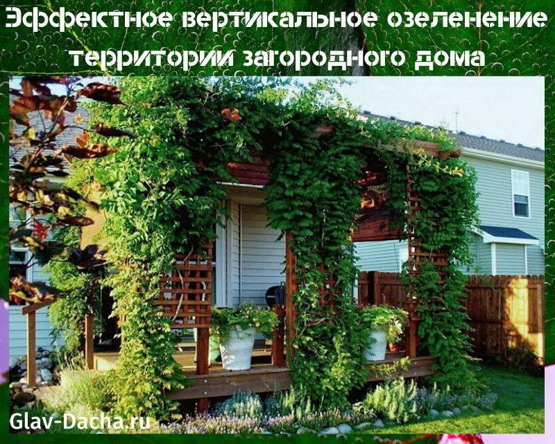 upea pystysuora puutarhanhoito