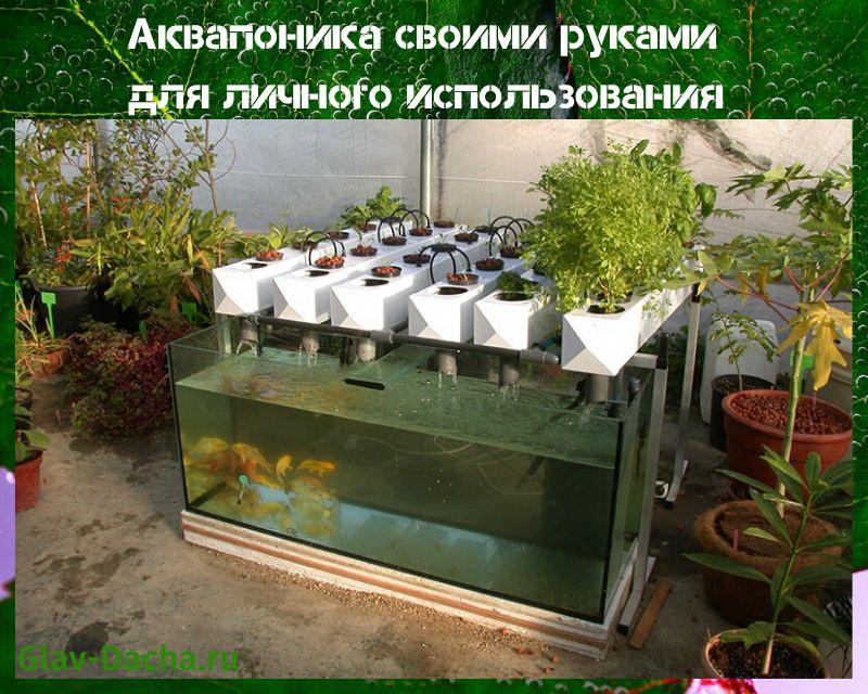 tee se itse aquaponics