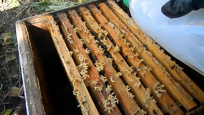 bipiinin käsittelyaika