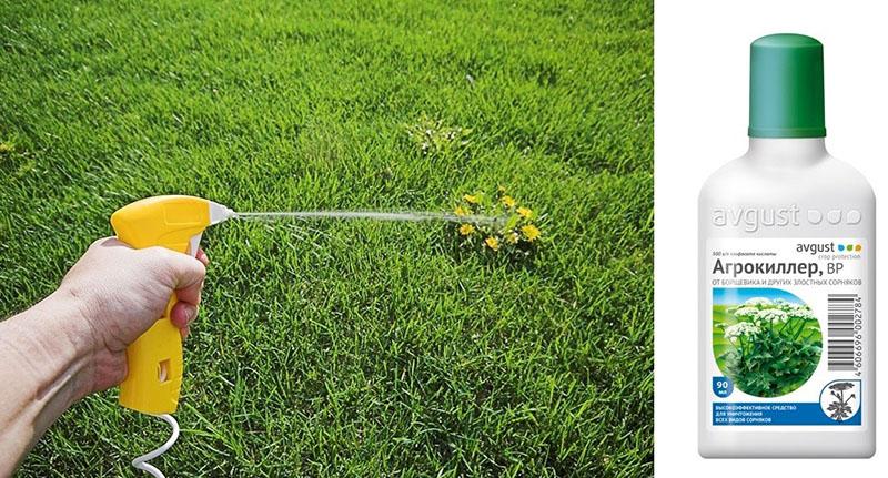 miten Agrokiller toimii rikkaruohoja vastaan