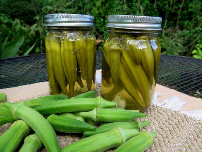okra hyödyllisiä ominaisuuksia ja vasta-aiheita