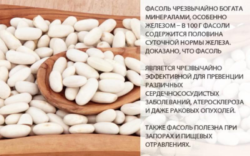 valkoisten papujen hyödylliset ominaisuudet