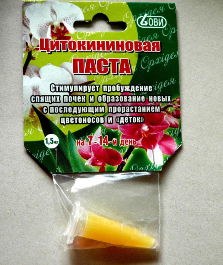 sytokiniinipasta