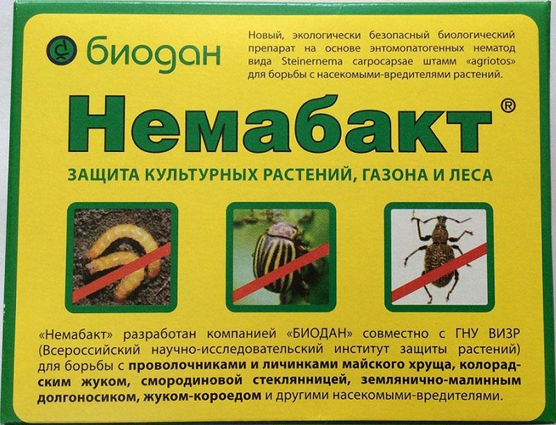 ohjeet nemabactin käytöstä viljeltyjen kasvien suojelemiseksi