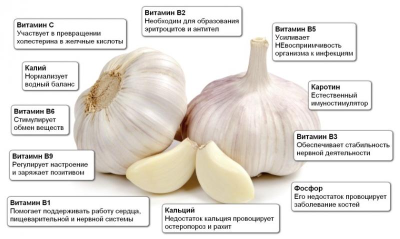 valkosipulin kemiallinen koostumus