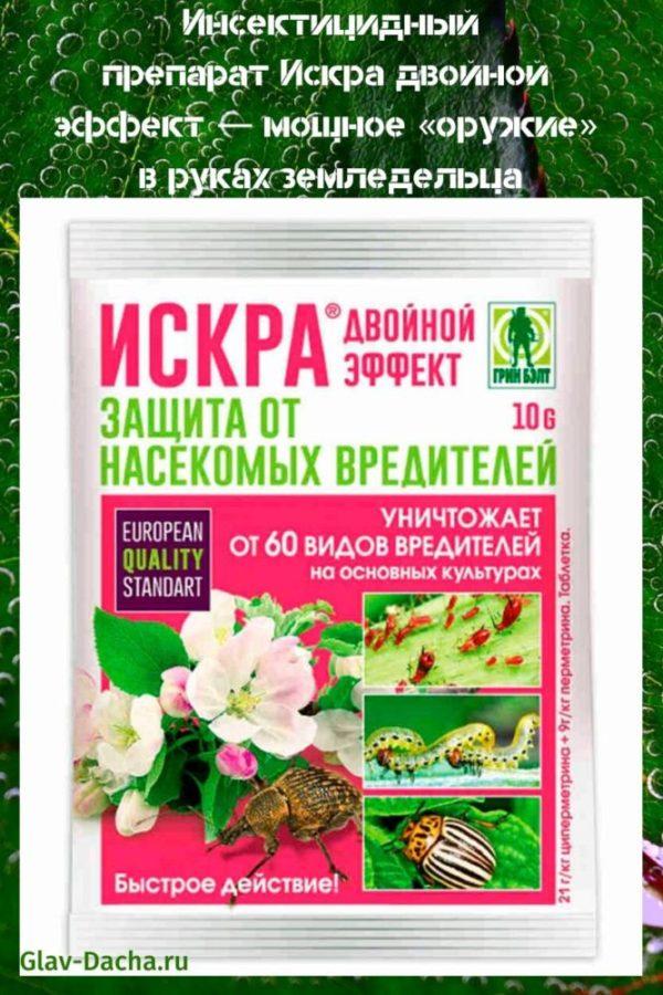 huumeiden kipinä kaksinkertainen vaikutus
