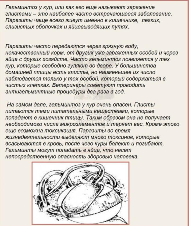 lintujen helmintiaasi