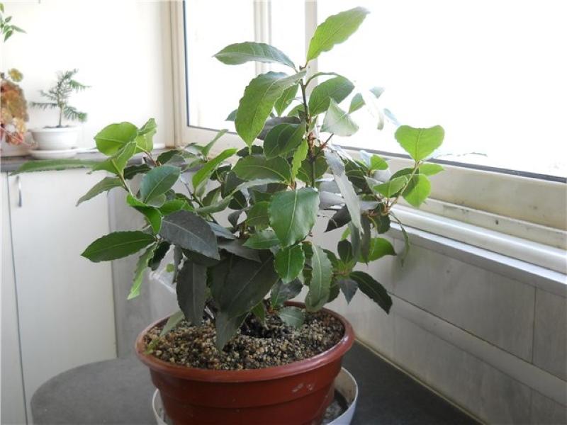 sisätiloissa