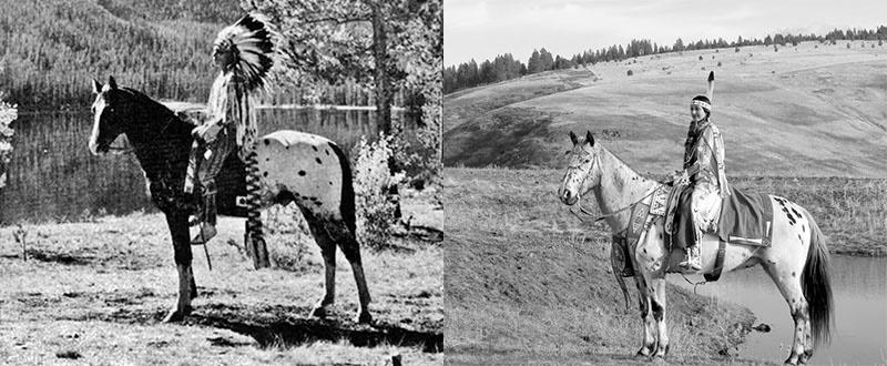 Intiaanit Appaloosa-rodun hevosilla