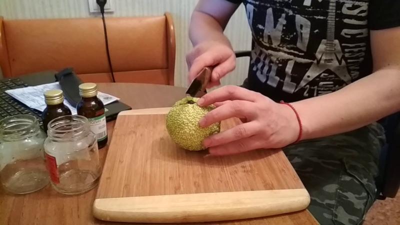 kotitekoinen maclura-tinktuura