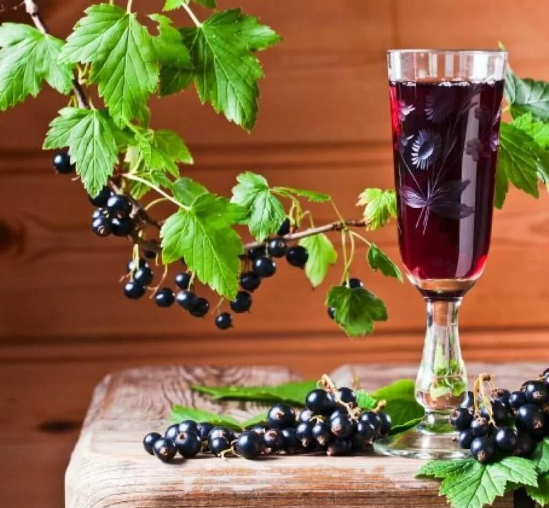 mustaherukka tinktuura vodkan reseptissä