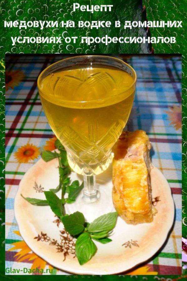 vodka-pohjainen mead-resepti