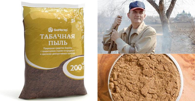 tobacco dust for garden Tobacco dust