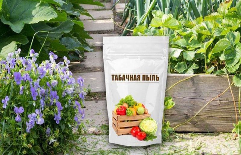tupakkapöly lannoitteena