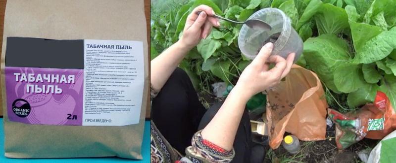 tobacco dust for plants Tobacco dust