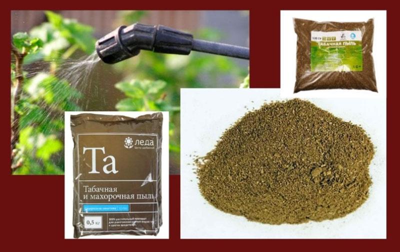 Tobacco dust
