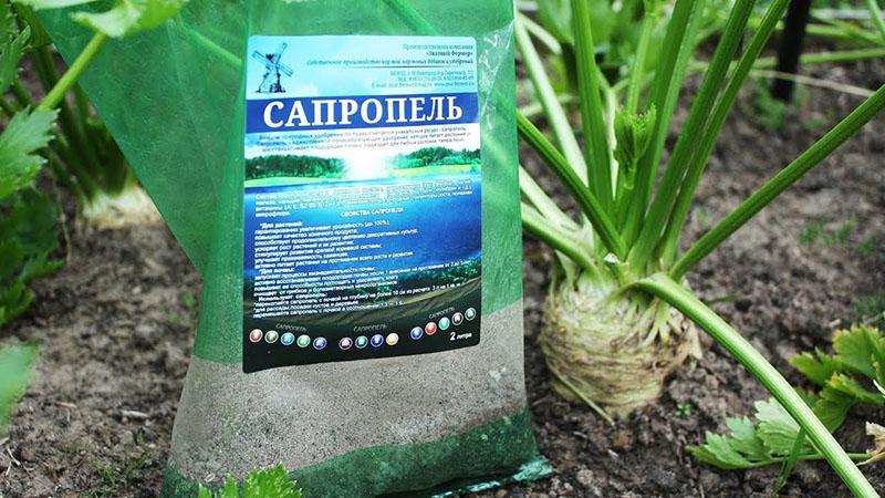sapropelin käyttö sängyissä