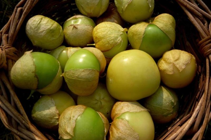 Physalis vihannesten hedelmät