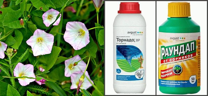 rikkakasvien torjunta-aineiden käyttö rikkaruohojen poistamiseksi