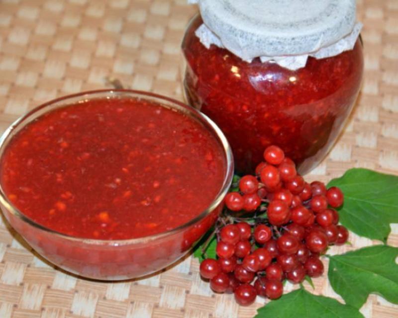 viburnum-hillo talveksi