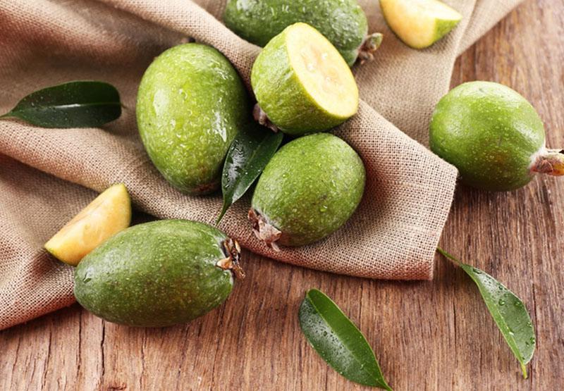 ainutlaatuiset hedelmät feijoa