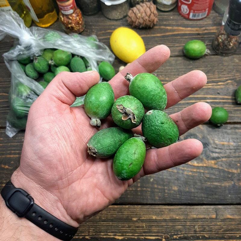 feijoa-hedelmät, joissa on mehukas massa