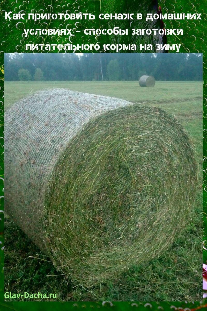 miten tehdä heinäsuovaa kotona
