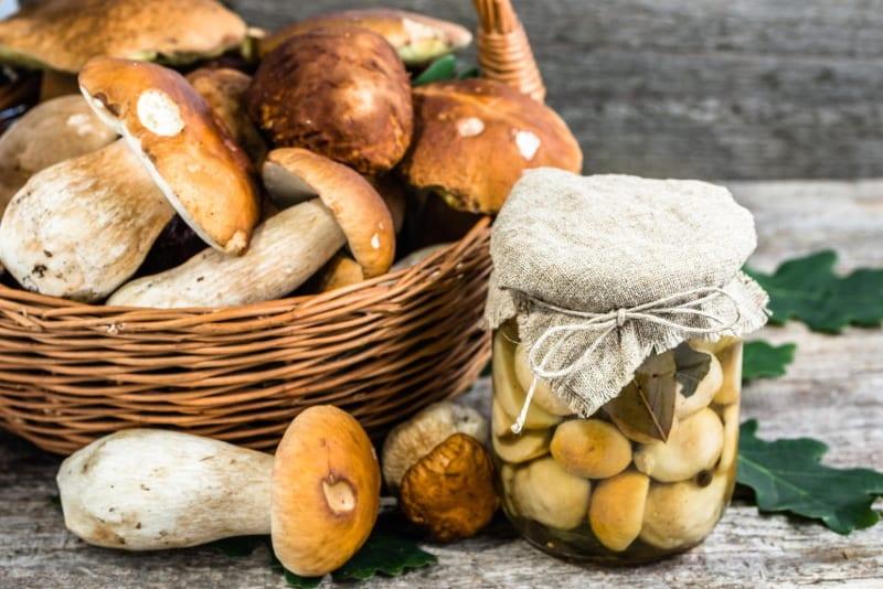 kuinka suolakurkkua sieniä talveksi