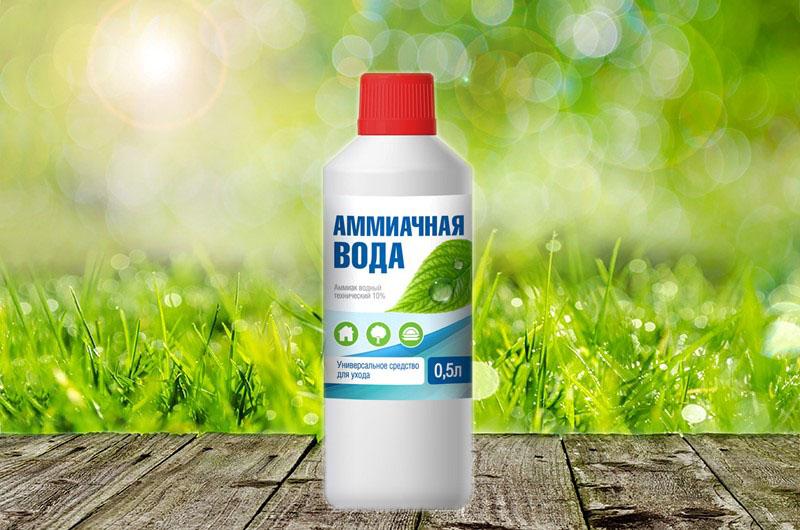ammoniakkivesi