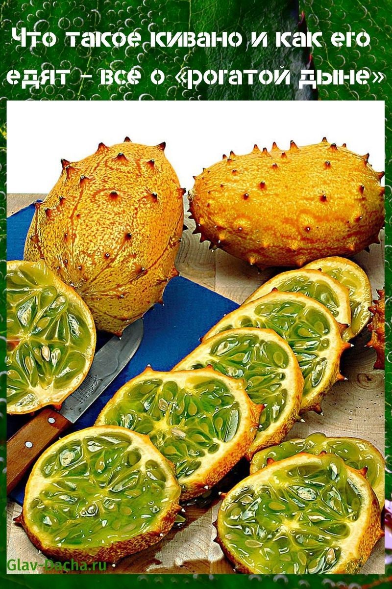 mikä on kiwano ja miten sitä syödään