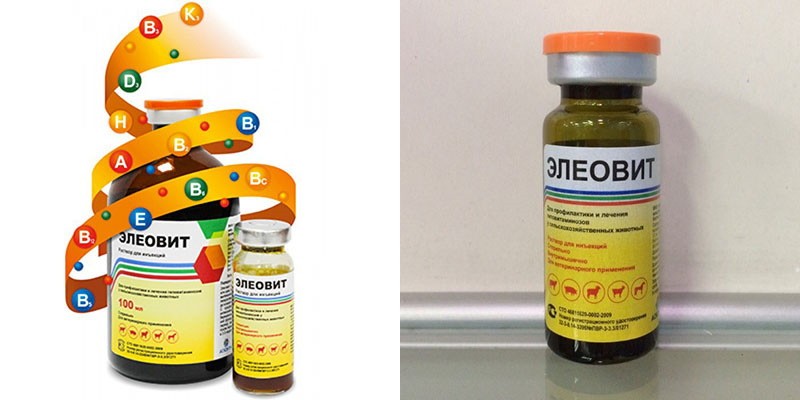 multivitamiinivalmiste