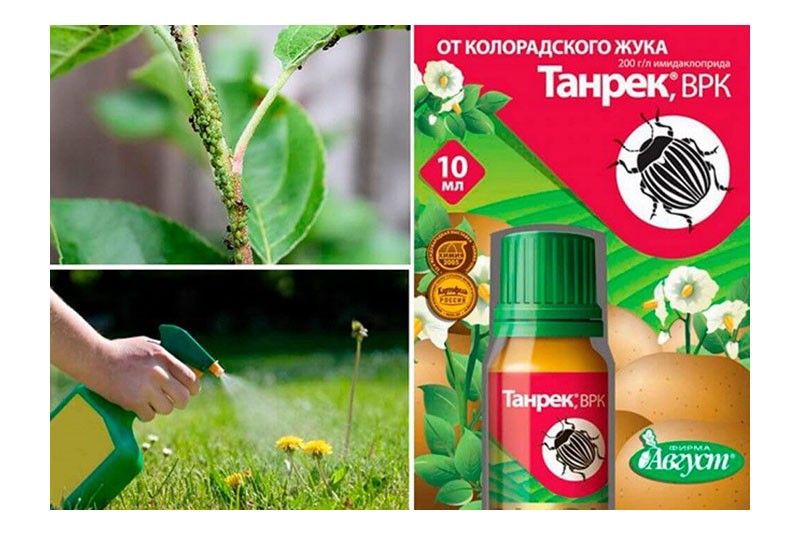 lääkkeen vapautusmuoto