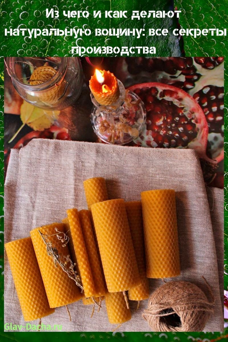 luonnollinen perusta