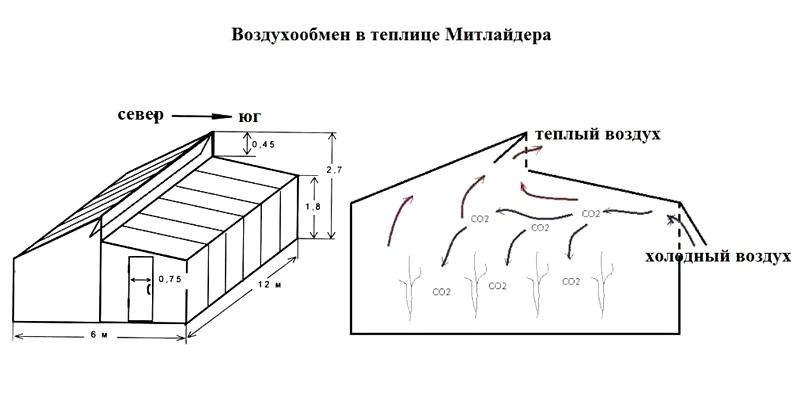 ilmanvaihto Meatliderin kasvihuoneessa