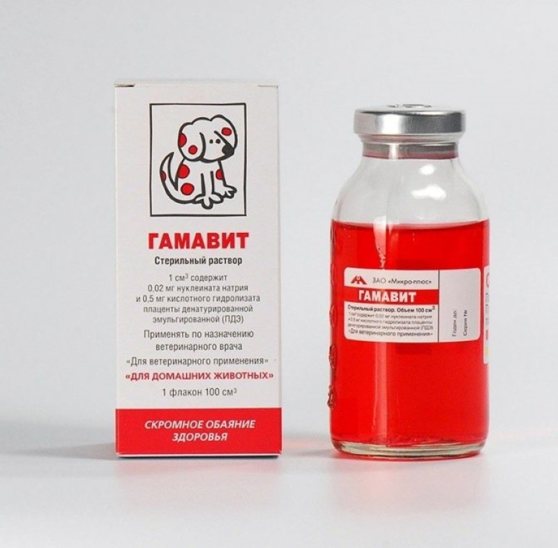 gamavit koirille