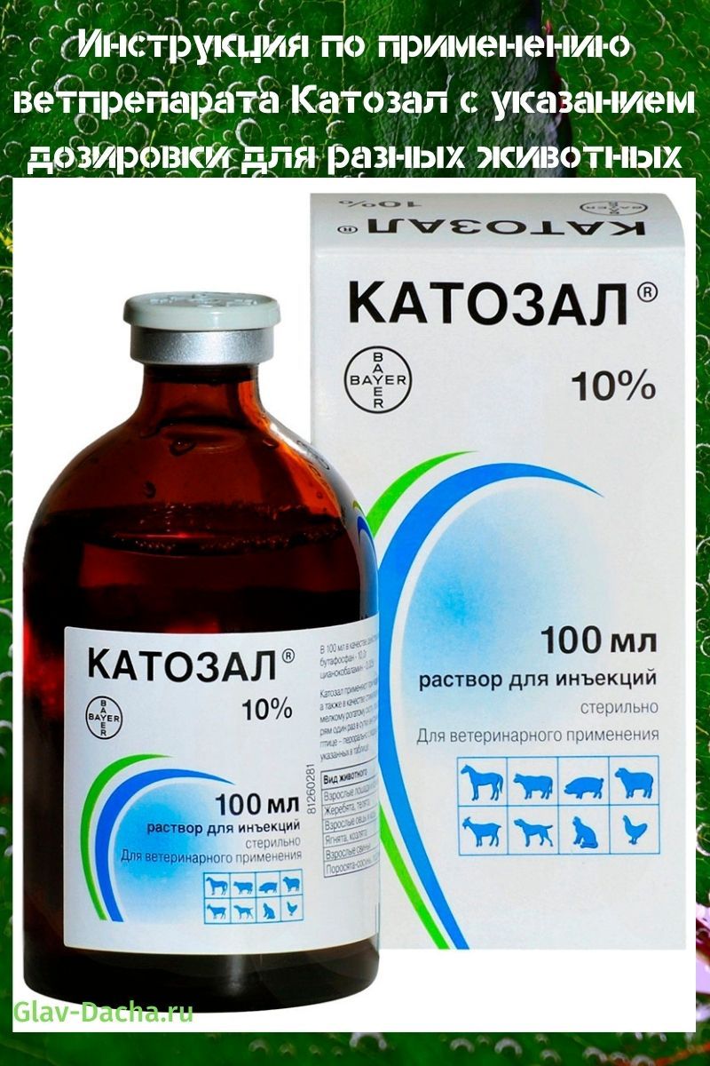 ohjeet eläinlääkkeen Catosal käytöstä
