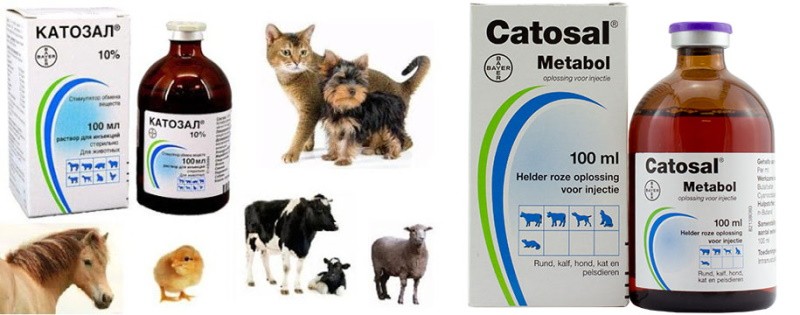 eläinlääke catosal
