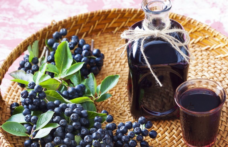 resepti aronia-tinktuurasta vodkaan