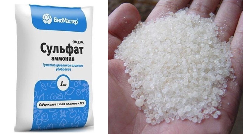 mikä on ammoniumsulfaatti