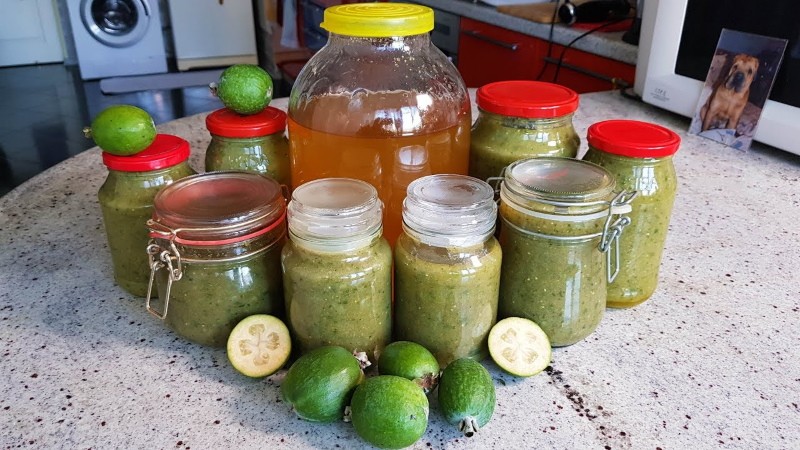 feijoa-hillo hunajalla