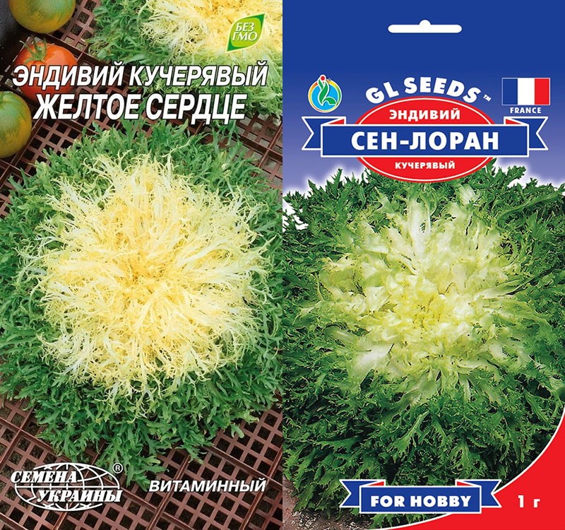 kiharat endiikin siemenet