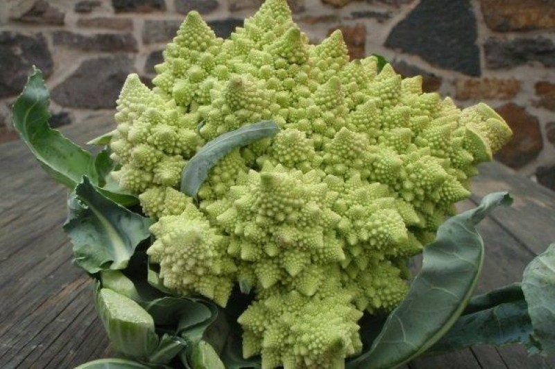 miten kokata Romanesco