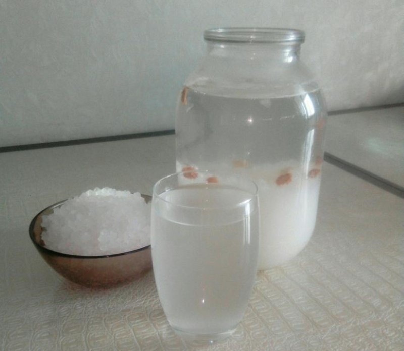 meririisin infuusio
