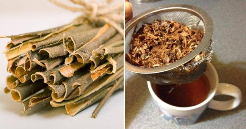 haavan kuoren keittäminen ja infuusio