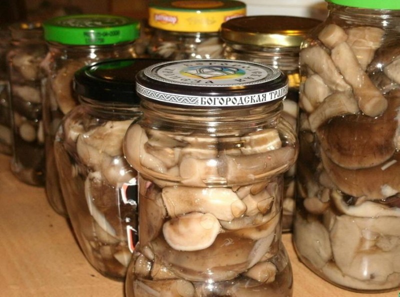 pikasienet