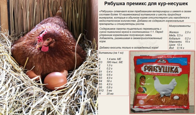 Ryabushka-vitamiinikompleksi